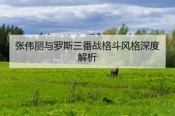 张伟丽与罗斯三番战格斗风格深度解析